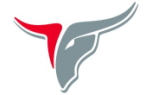 DT Image